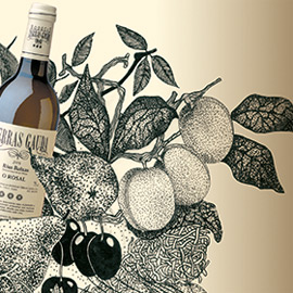 Concorso Azienda Vinicola Spagnola "Bodegas Terras Gauda" <br/><em>Pubblicato il  25 di agosto, 2015